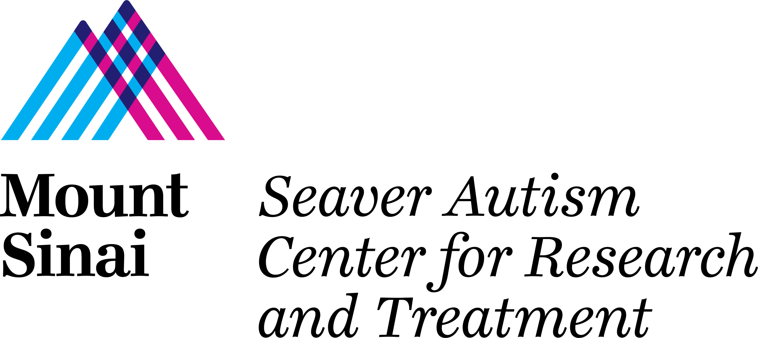 Mount Sinai – ICAHN